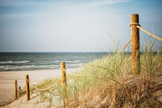 Zurück zum Meer | Wanderdünen bei Łeba, Polen