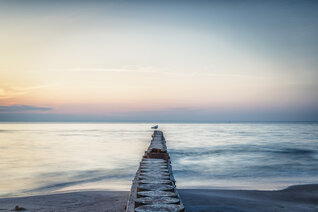 Zurück zum Meer | Strand bei Łeba, Polen
