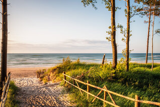 Zurück zum Meer | Plaża Wydmy Lubiatowskie